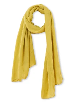 Femme Daxon Etole unie