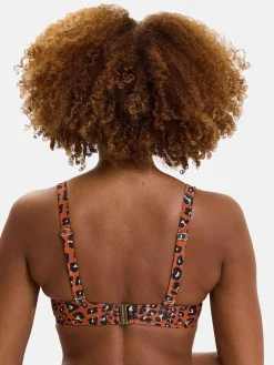 Femme Sans Complexe Haut de maillot de bain à armatures