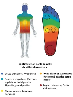 Pédiconfort Semelles réflexologie spécial diabète